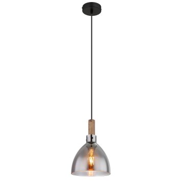 Globo MATTEA Hanger Zwart, 1-licht