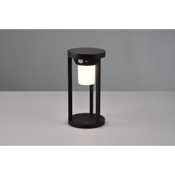 Trio Carmo Solarlamp LED Zwart, 1-licht, Bewegingsmelder