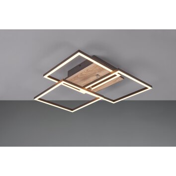 Reality Mobile Plafondlamp LED houtlook, Zwart, 1-licht, Afstandsbediening