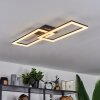 Hyacinthe Plafondlamp LED Zwart, 1-licht, Afstandsbediening