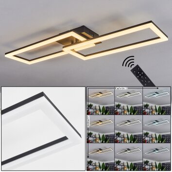 Hyacinthe Plafondlamp LED Zwart, 1-licht, Afstandsbediening