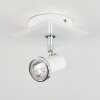 Lanrigan Plafondlamp Chroom, Wit, 1-licht