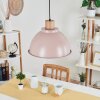 Chipou Hanglamp Roze, 1-licht