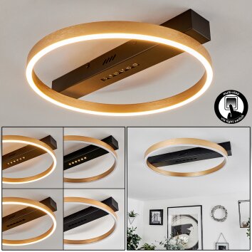 Cajean Plafondlamp LED Zwart, 1-licht