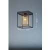 Fischer & Honsel Caydo Plafondlamp Zwart, 1-licht