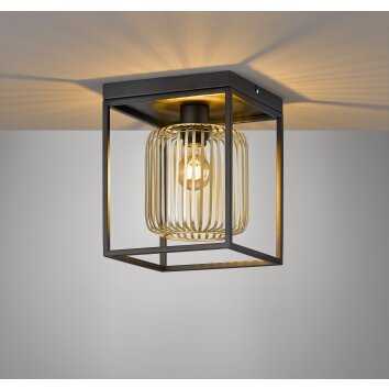 Fischer & Honsel Caydo Plafondlamp Zwart, 1-licht