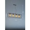 Fischer & Honsel Caydo Hanglamp Zwart, 4-lichts