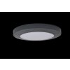 Lutec Kayah Buitenshuis plafond verlichting LED Antraciet, 1-licht