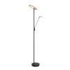 Steinhauer Daphne Uplighter LED Zwart, 2-lichts