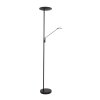 Steinhauer Daphne Uplighter LED Zwart, 2-lichts