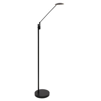 Steinhauer Daphne Staande lamp LED Zwart, 1-licht