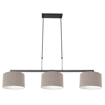 Steinhauer Stang Hanglamp Zwart, 3-lichts