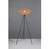 Trio Hedda Staande lamp Zwart, 1-licht