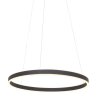 Steinhauer Ringlux Hanger LED Zwart, 2-lichts