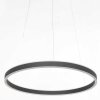 Steinhauer Ringlux Hanger LED Zwart, 2-lichts