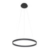 Steinhauer Ringlux Hanger LED Zwart, 2-lichts