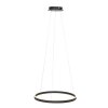 Steinhauer Ringlux Hanger LED Zwart, 2-lichts