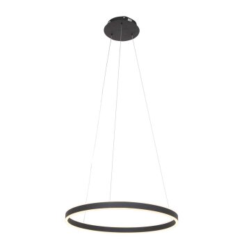 Steinhauer Ringlux Hanger LED Zwart, 2-lichts