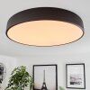 Maho Plafondlamp LED Zwart, 1-licht