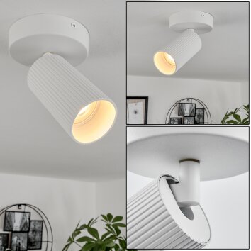 Trutielle Plafondlamp Wit, 1-licht