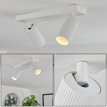 Trutielle Plafondlamp Wit, 2-lichts