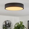 Maho Plafondlamp LED Zwart, 1-licht