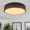 Maho Plafondlamp LED Zwart, 1-licht