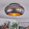 Zigne Plafondlamp Oud zilver, Zwart, 1-licht