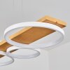 Rodekro Hanglamp LED Wit, 1-licht