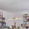 Rodekro Hanglamp LED Wit, 1-licht