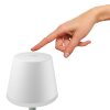 Philips Hue Go Tafellamp voor buiten LED Groen, Wit, 1-licht, Kleurwisselaar