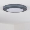 Durivier Buitenshuis plafond verlichting LED Antraciet, 1-licht