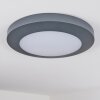 Durivier Buitenshuis plafond verlichting LED Antraciet, 1-licht