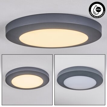 Durivier Buitenshuis plafond verlichting LED Antraciet, 1-licht