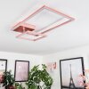 Doyon Plafondlamp LED Goud, Roze, 1-licht