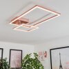 Doyon Plafondlamp LED Goud, Roze, 1-licht