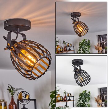 Pocho Plafondlamp Messing, Zwart, 1-licht