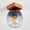 Chauplane Plafondlamp Hout donker, Zwart, 1-licht