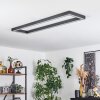 Dubuisson Plafondlamp LED Antraciet, 1-licht, Afstandsbediening