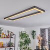 Dubuisson Plafondlamp LED Antraciet, 1-licht, Afstandsbediening