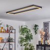 Dubuisson Plafondlamp LED Antraciet, 1-licht, Afstandsbediening