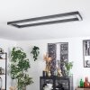 Dubuisson Plafondlamp LED Antraciet, 1-licht, Afstandsbediening