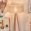 Saladillo Staande lamp Hout donker, Wit, 1-licht