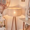 Saladillo Staande lamp Hout donker, Wit, 1-licht