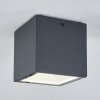 Spidern Buitenshuis plafond verlichting LED Antraciet, Wit, 1-licht