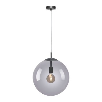 Paul Neuhaus WIDOW Hanglamp Zwart, 1-licht