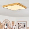 Broglen Plafondpaneel LED Goud, 1-licht