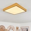 Broglen Plafondpaneel LED Goud, 1-licht