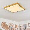 Broglen Plafondpaneel LED Goud, 1-licht