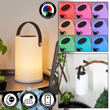 Acebal Solarlamp LED Zwart, Wit, 1-licht, Kleurwisselaar